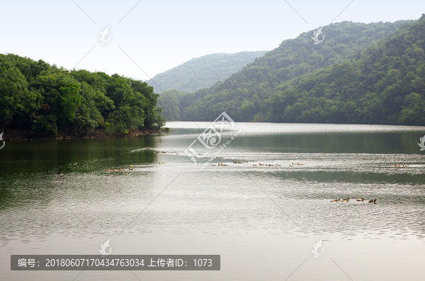 鸭塘,水库生态