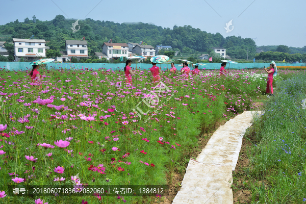 花海,花園