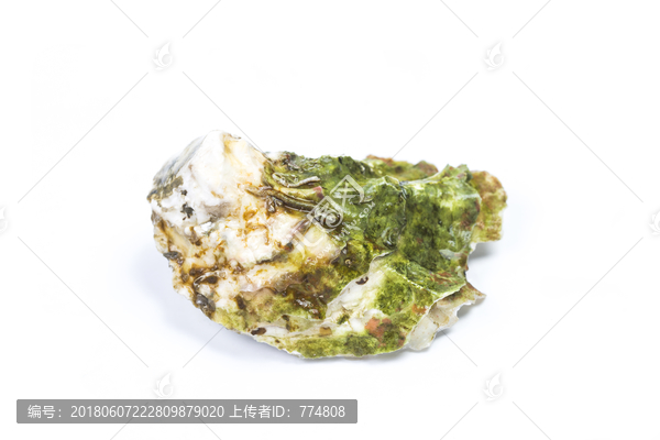 生蠔,牡蠣