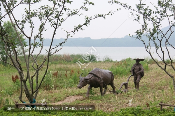 东湖绿道风景