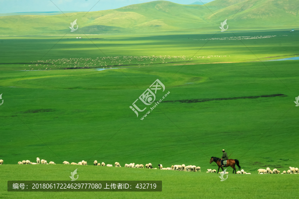 夏季草原骑马放牧羊群