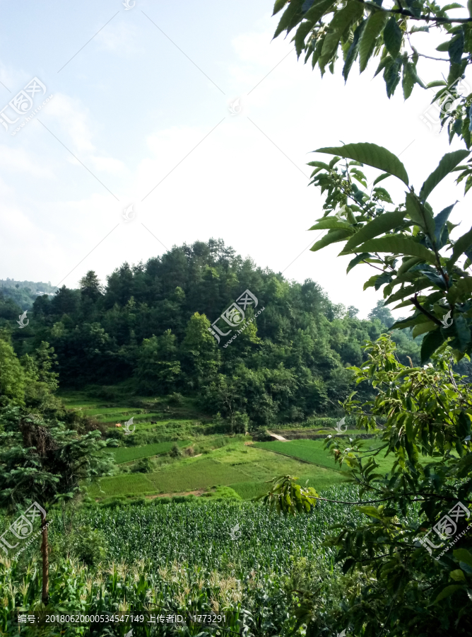 田园风光,山水风景