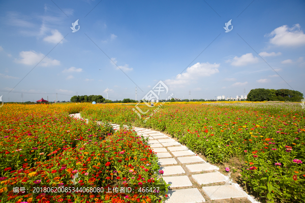 花园小路