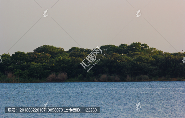 漳河风光,漳河鸟岛