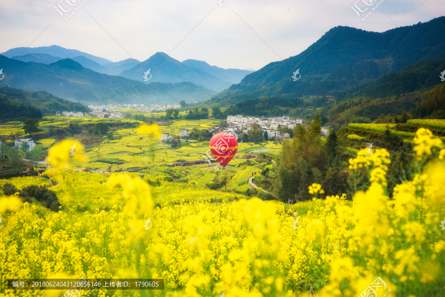 婺源江岭油菜花海