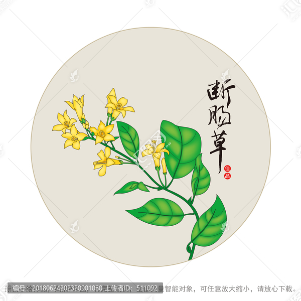 斷腸草
