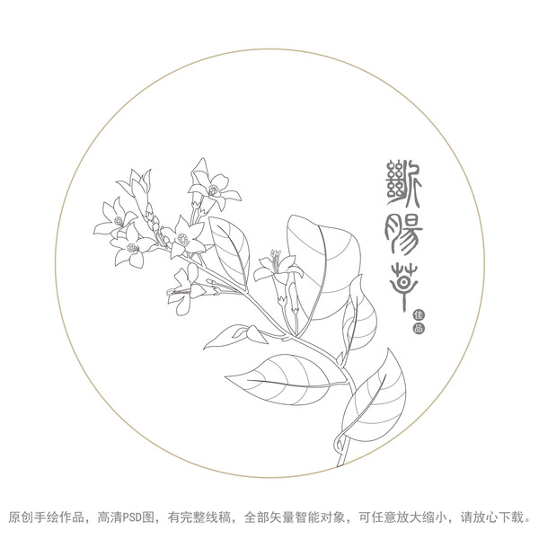斷腸草