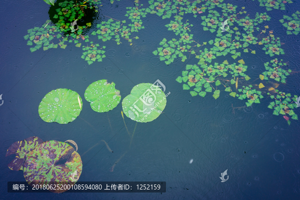 西湖风景