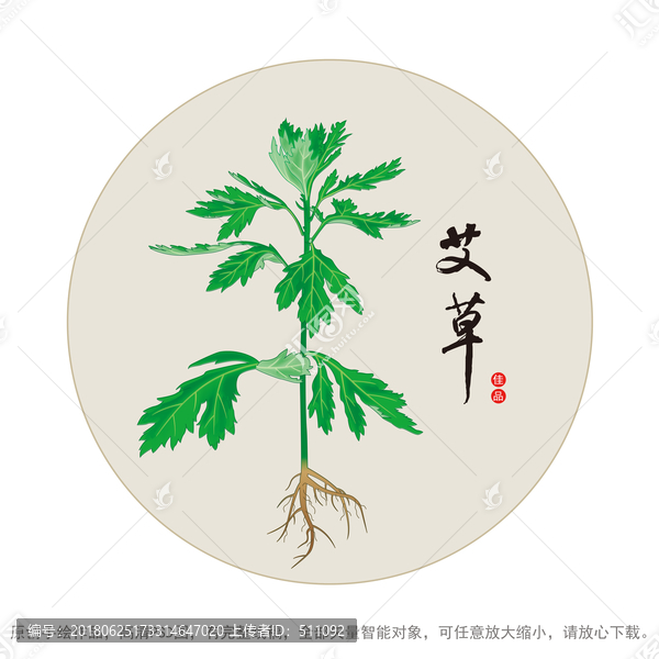 艾草