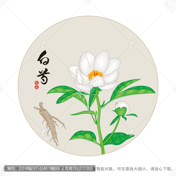 白芍