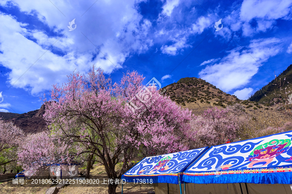 嘎啦桃花村