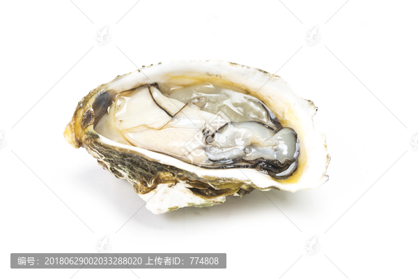 生蠔