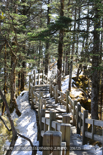 西岭雪山阴阳界栈道残雪消融