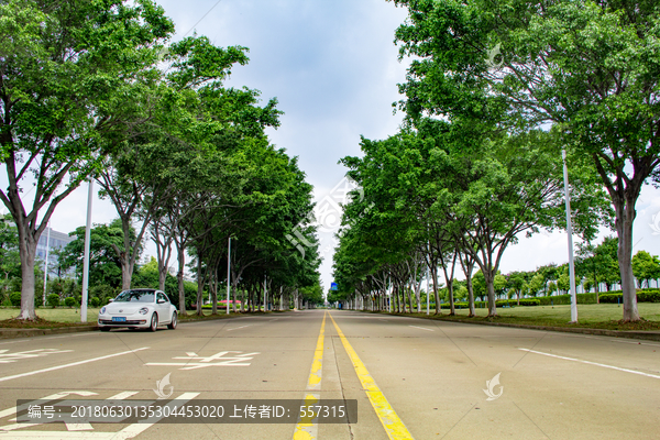 城市道路