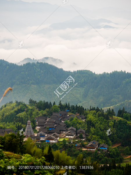 东苟村局部