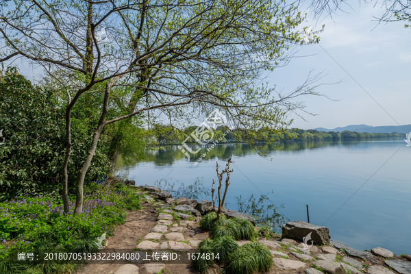 杭州西湖春天风光美景