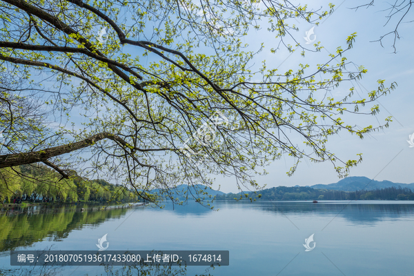 杭州西湖春天风光美景