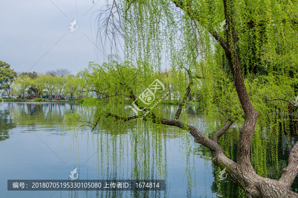 杭州西湖春天风光美景