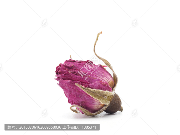 玫瑰花蕾