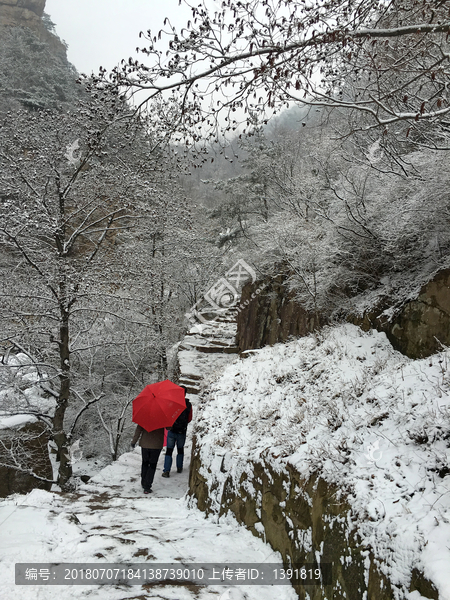 山东青岛崂山北九水滑溜口雾凇