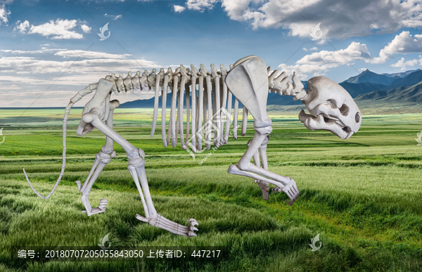 虎骨骨骼雕塑