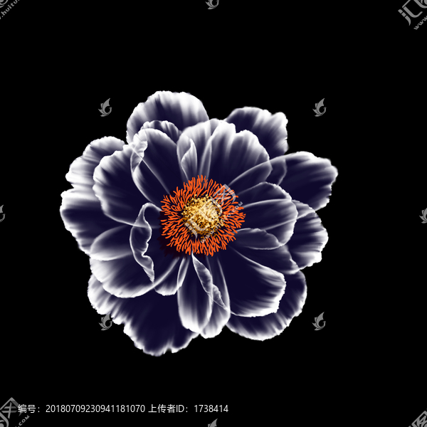 透視牡丹