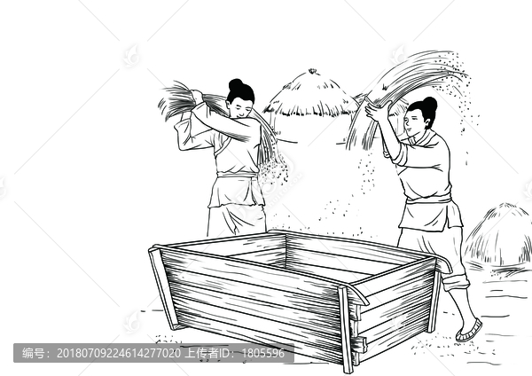 五谷雜糧手繪插畫