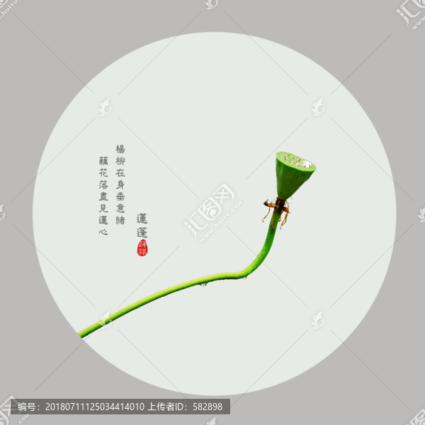 蓮蓬裝飾畫(huà)