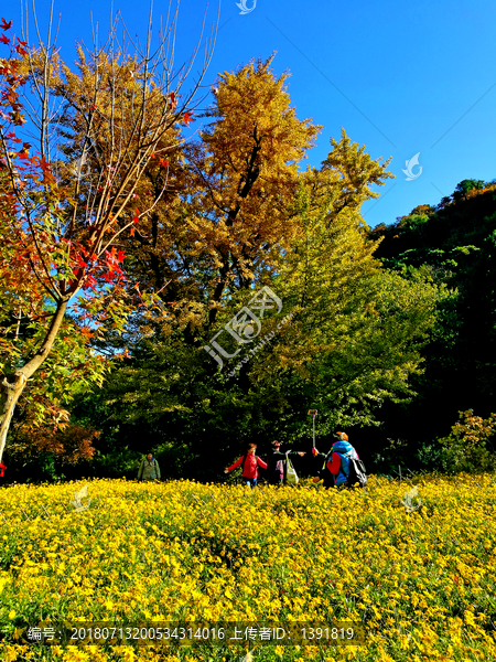 秋季的北京香山公园