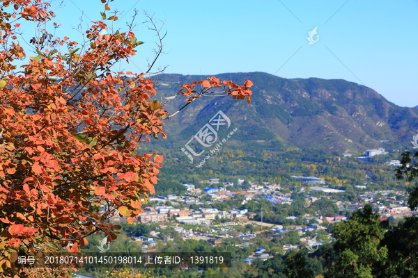 秋季的北京香山俯瞰北京市区