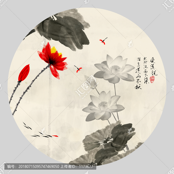 荷花