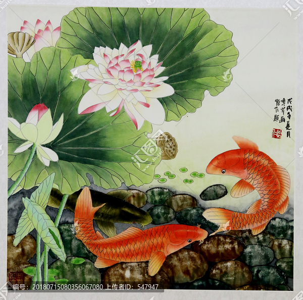 荷花金魚(yú)