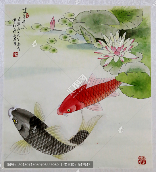 金魚荷花