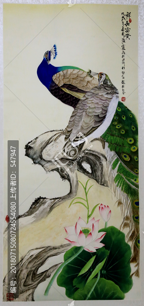 荷花花鳥(niǎo)畫(huà)