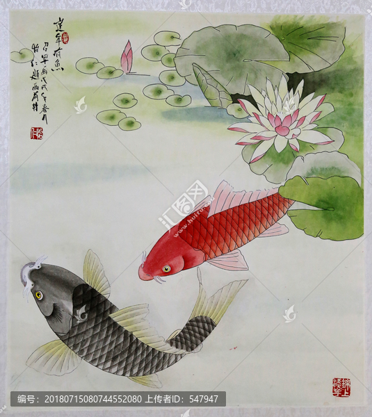 荷花魚兒