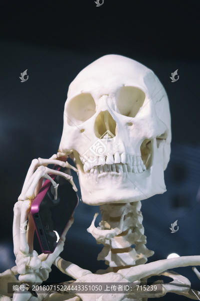 骷髅与手机
