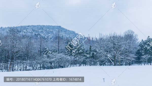 杭州太子湾公园雪景