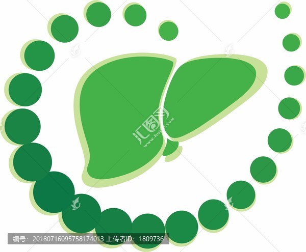 肝膽圖案