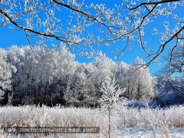 北方冬天冰天雪地雪景树挂雾凇