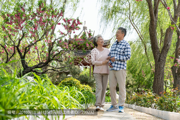 老年夫妻旅游