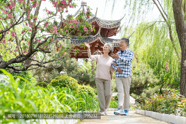 老年夫妻旅游