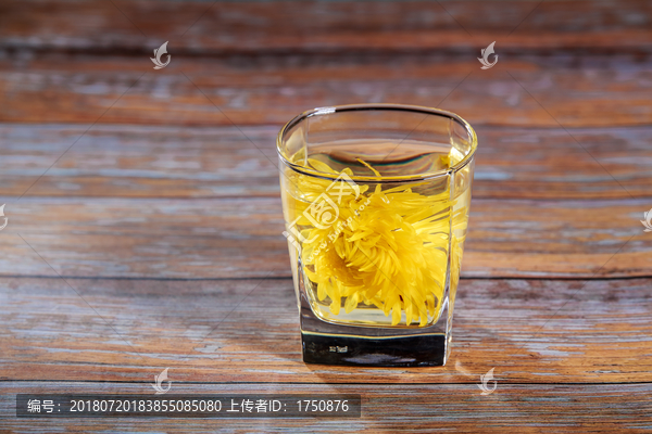 金丝皇菊