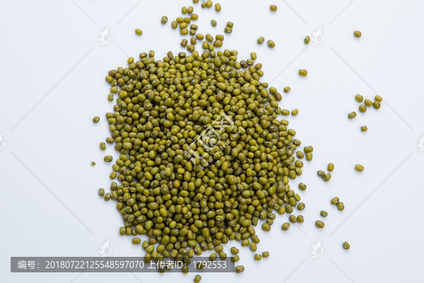 小綠豆-匯圖網(wǎng) www.fosd68.com 小綠豆