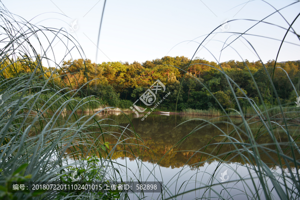 湖畔美景