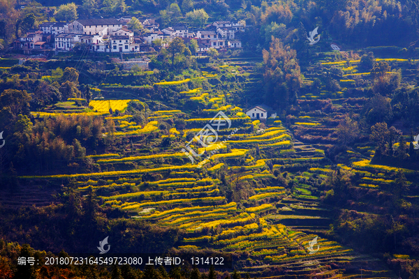 大山梯田风光