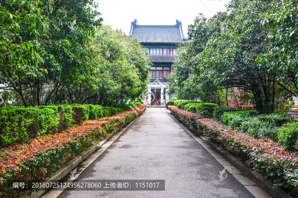 南京大学景观