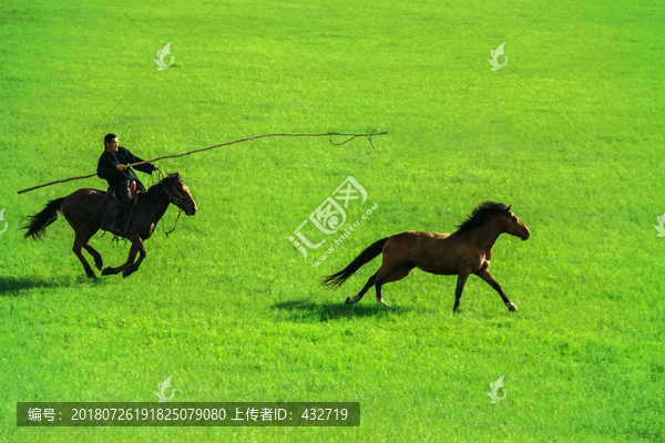 草原套马