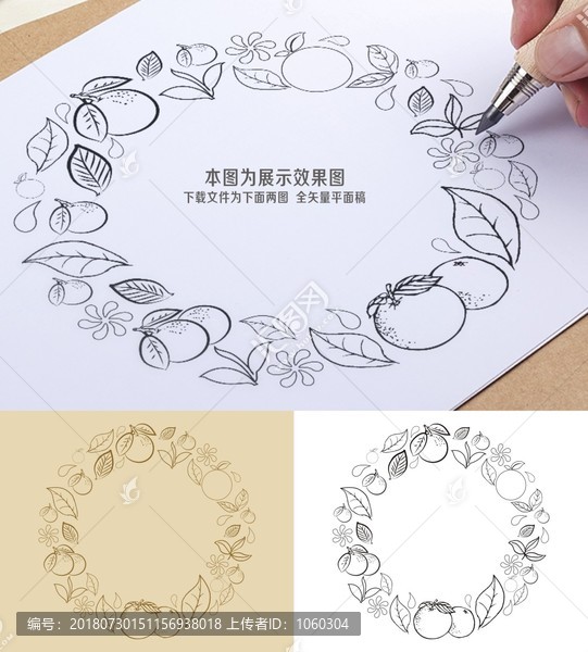 小青柑矢量圖形元素