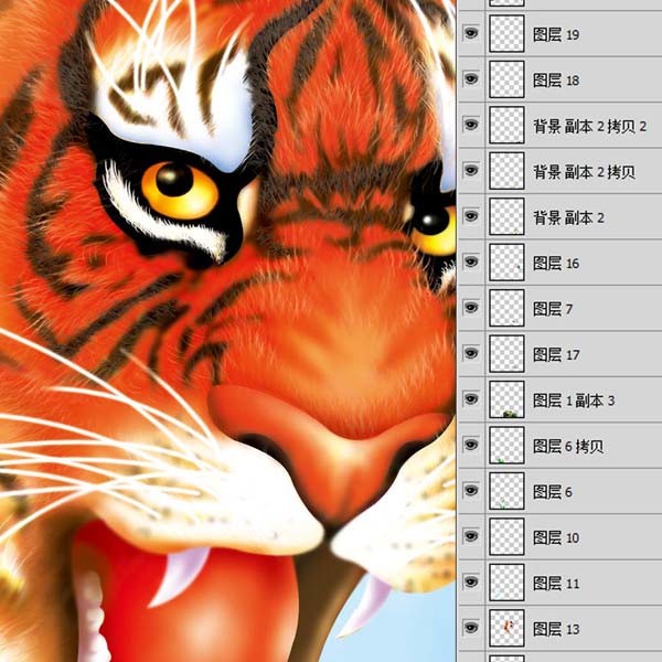虎