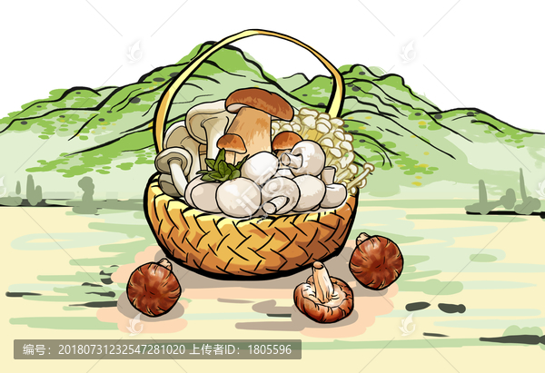 山珍菌菇插畫(huà)香菇蘑菇杏鮑菇金針